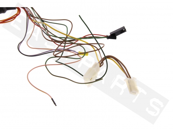 Wiring Harness GEMINI Alarm KITCA651